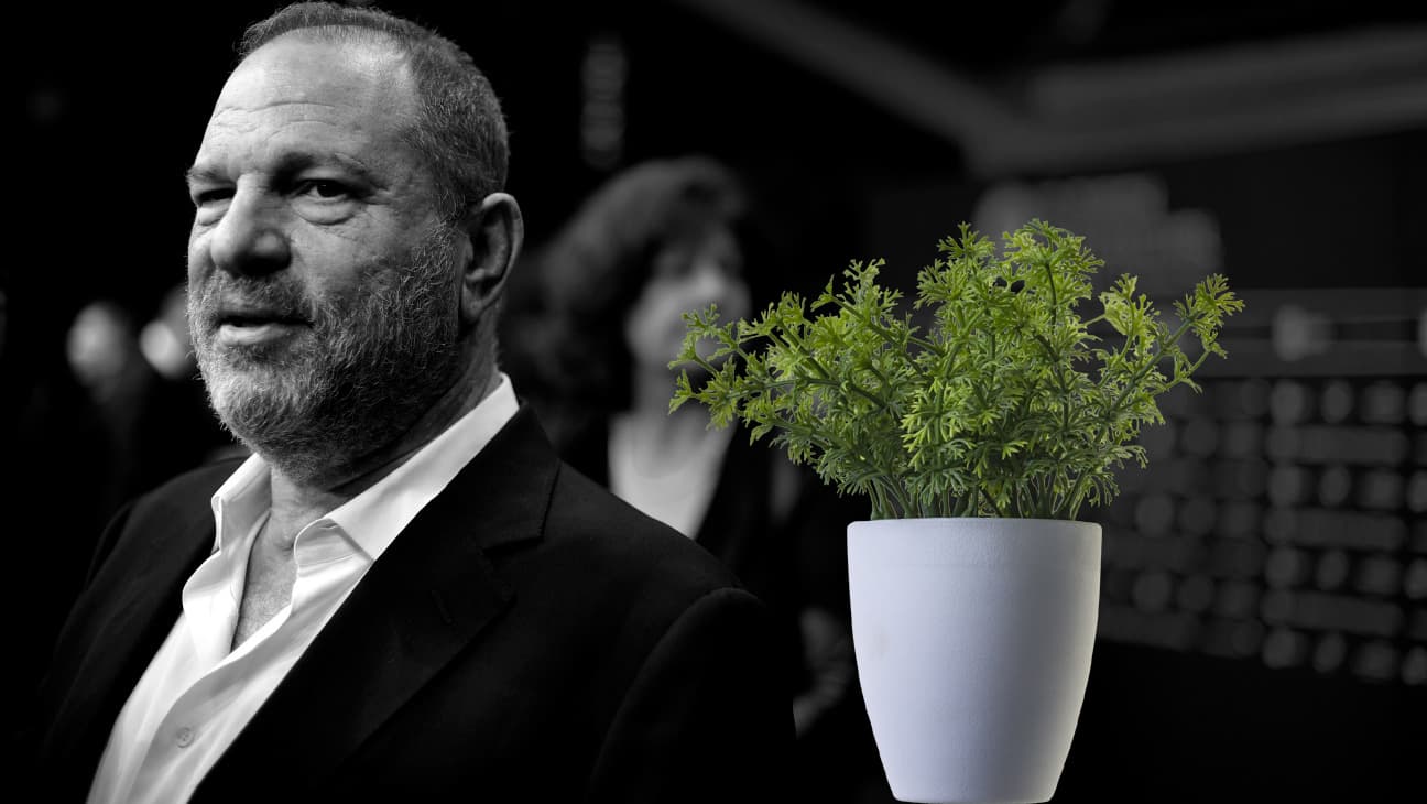 Confessions of a Potted Plant in Love with Harvey Weinstein | Points in Case