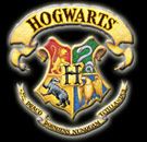 My First Hogwarts School of Witchcraft and Wizardry Report Card ...