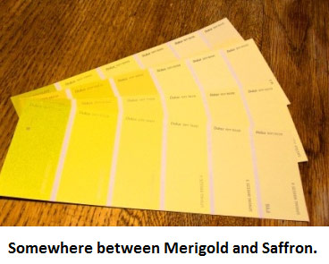 Color swatches from Home Depot used to determine urine color