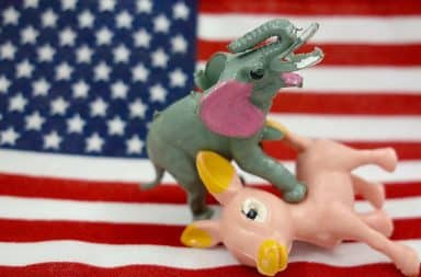 Donkey and elephant in sexual position on top of an American flag