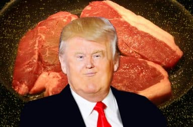 ol don tump has got some tasty steaks for ya