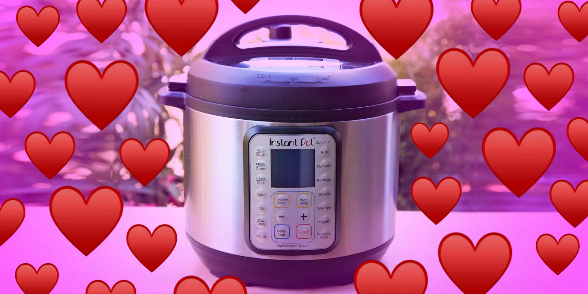 Rice cooker heart pink