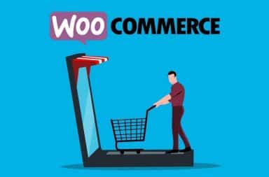 WooCommerce splash