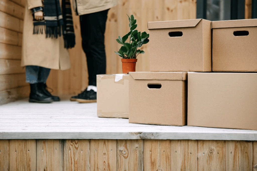 Boxes plants and people