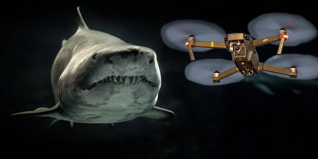 I Am a Shark and We Just Bought Cool Drones to Monitor You - Jarastyle