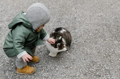toddler with a cat