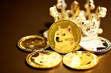 Gold Doge coin