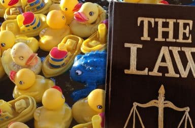 the rules abotu the ducks