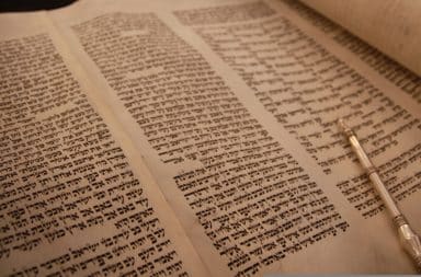 the torah